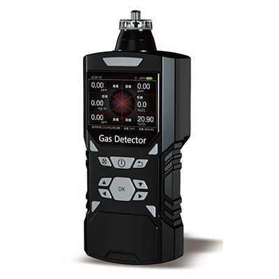 Portable 6-in-1 gas detector